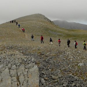 E2607 - La Tosa d’Alp, el sostre del Moixeró
